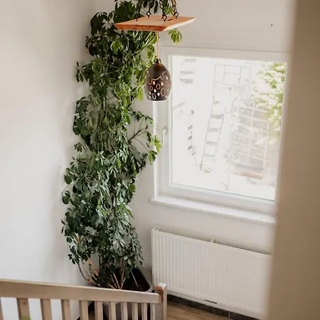 Elisabeth Spielberg * Spielberg Bei Knittelfeld