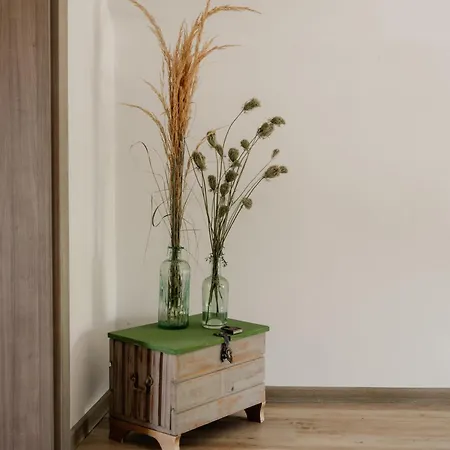 Elisabeth Spielberg 펜션 *