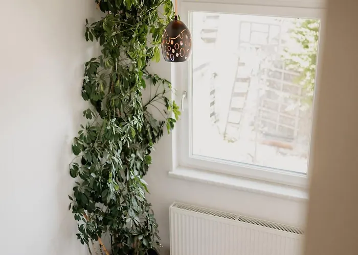 Elisabeth Spielberg * Spielberg Bei Knittelfeld